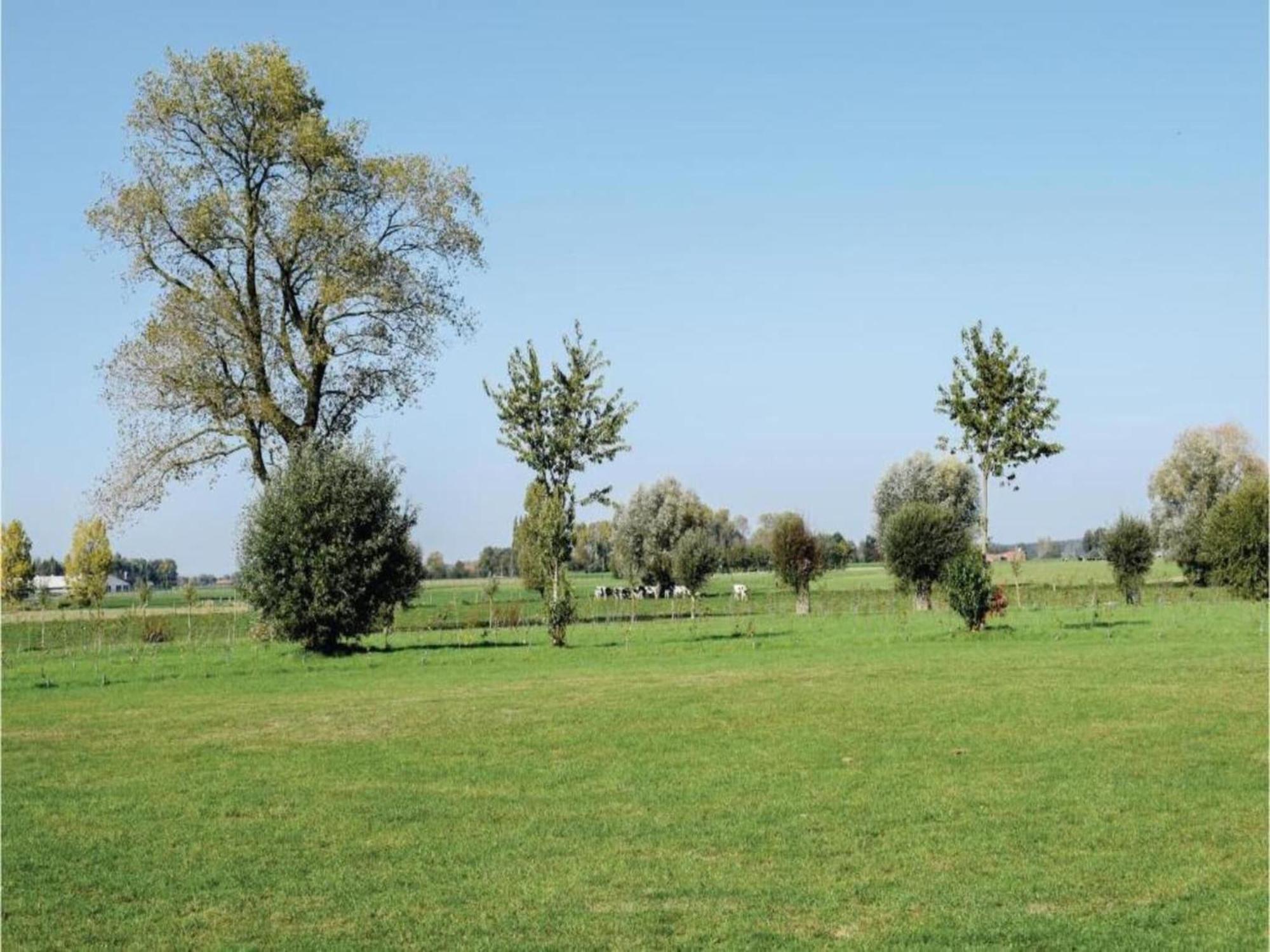 Studio In Ieper With Terrace Екстер'єр фото