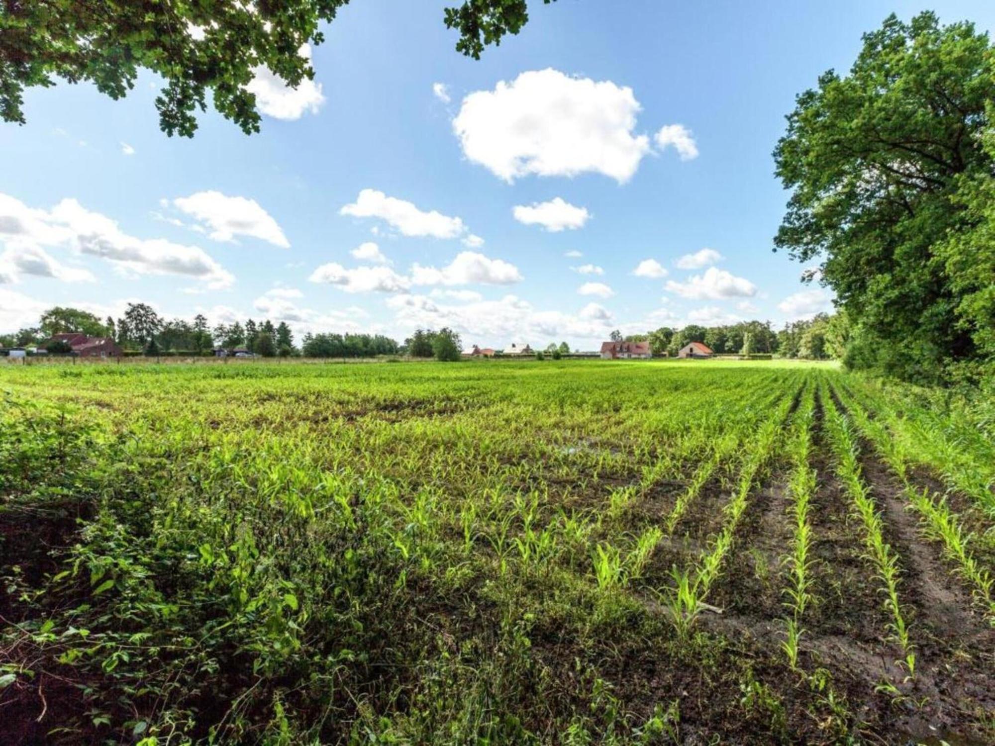 Studio In Ieper With Terrace Екстер'єр фото